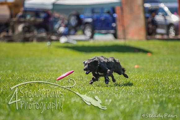 2020DiscChampionship_2513