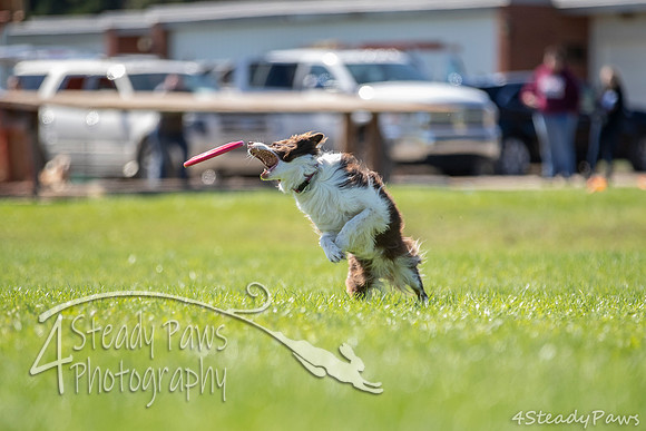 2020DiscChampionship_2748