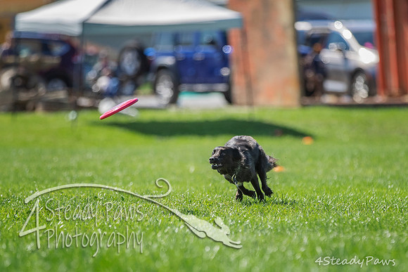 2020DiscChampionship_2514