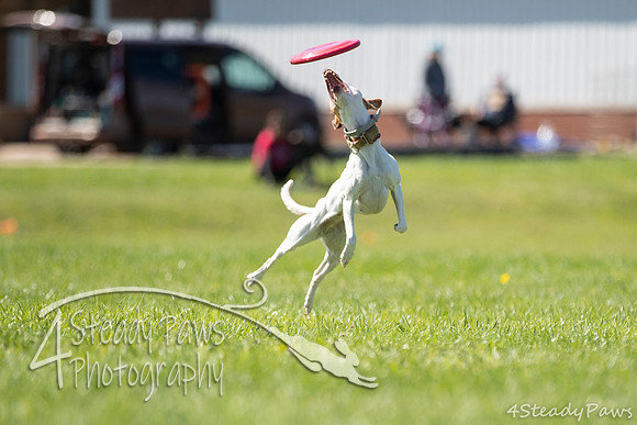 2020DiscChampionship_2346