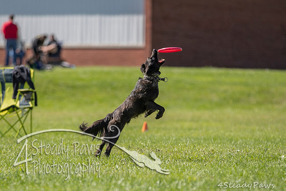 2020DiscChampionship_2500