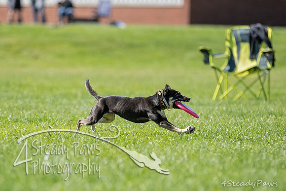 2020DiscChampionship_2020