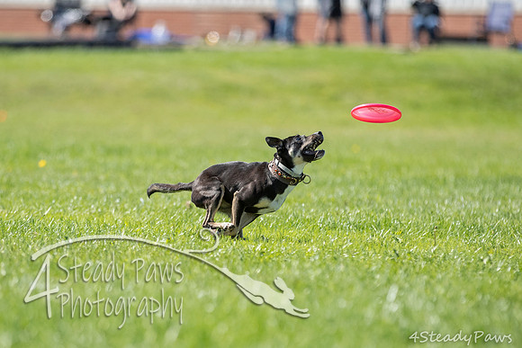 2020DiscChampionship_2026