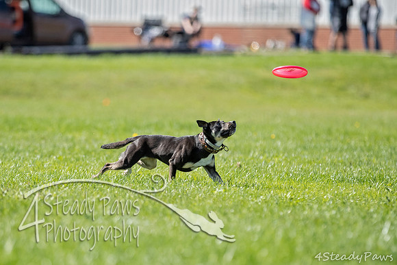 2020DiscChampionship_2024