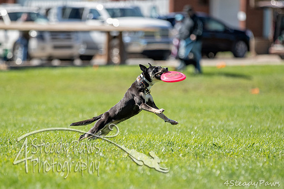 2020DiscChampionship_2012