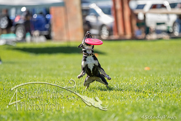 2020DiscChampionship_1998