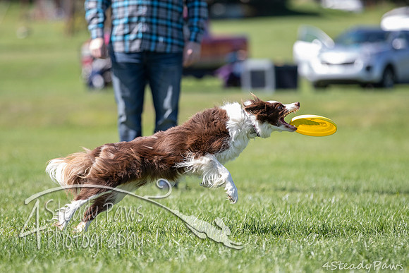 2020DiscChampionship_1906