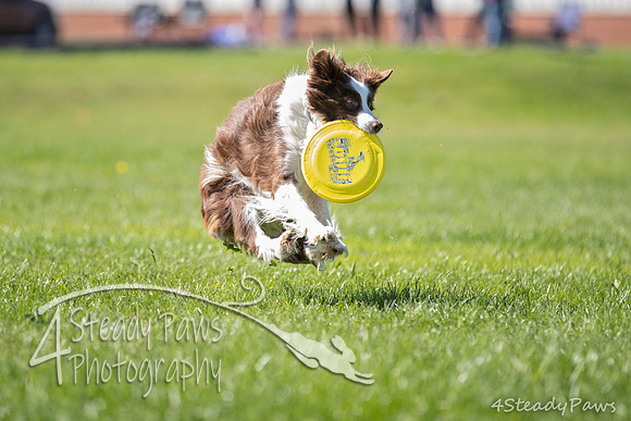 2020DiscChampionship_1874