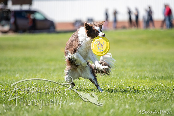 2020DiscChampionship_1876
