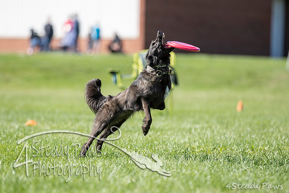 2020DiscChampionship_1654