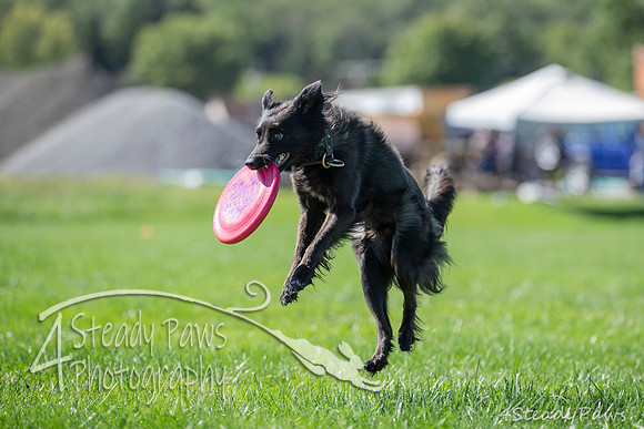 2020DiscChampionship_1631