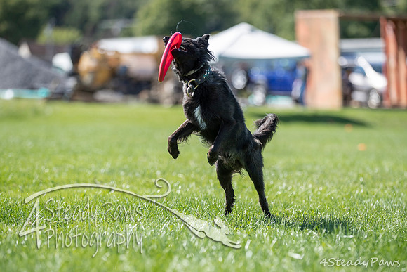 2020DiscChampionship_1635