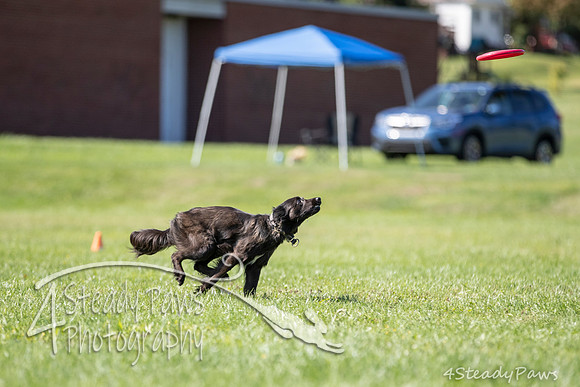 2020DiscChampionship_1625