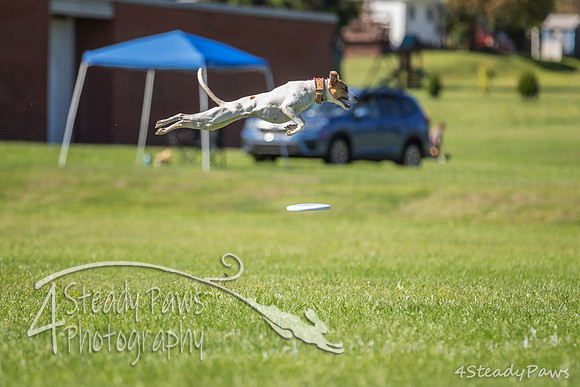 2020DiscChampionship_1478