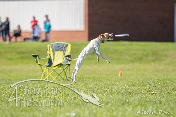 2020DiscChampionship_1483