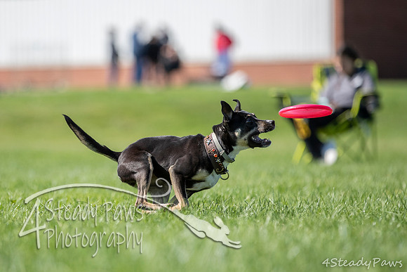 2020DiscChampionship_1140