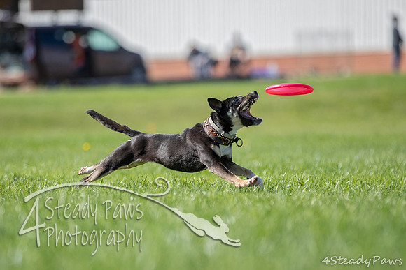 2020DiscChampionship_1142