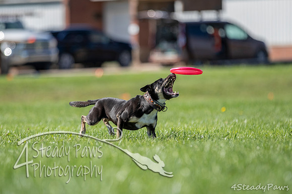 2020DiscChampionship_1141