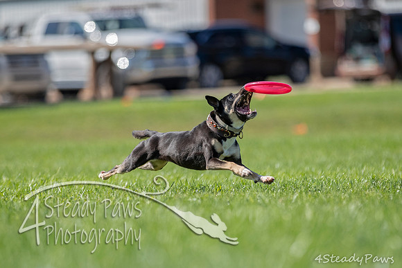 2020DiscChampionship_1133