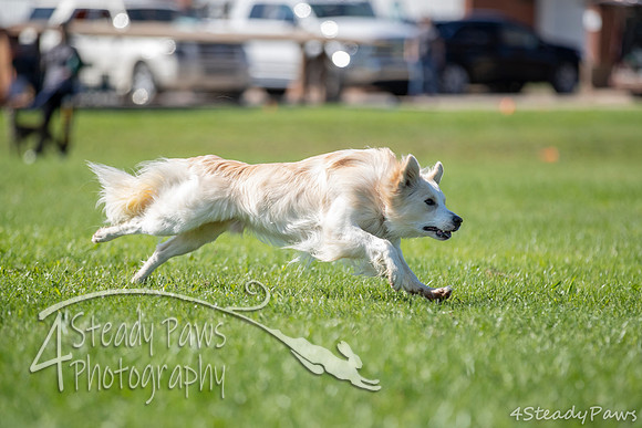 2020DiscChampionship_1299