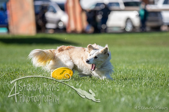 2020DiscChampionship_0324