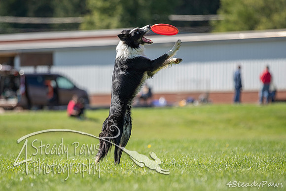 2020DiscChampionship_2295