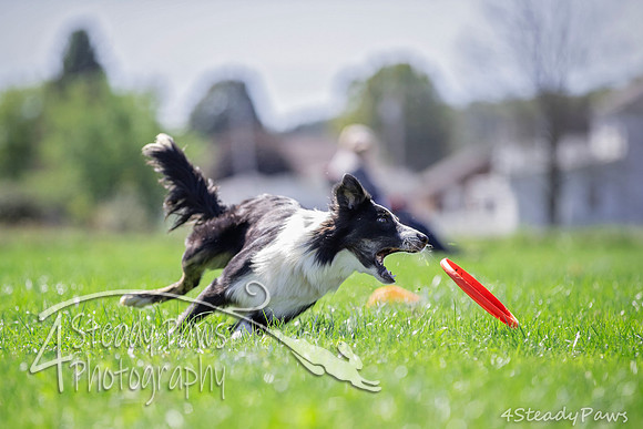 2020DiscChampionship_2287