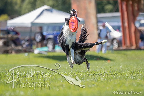 2020DiscChampionship_2273