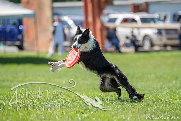 2020DiscChampionship_2268