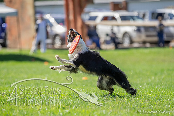 2020DiscChampionship_2266