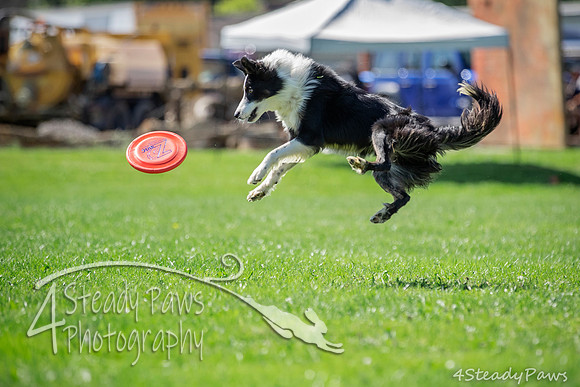 2020DiscChampionship_2259
