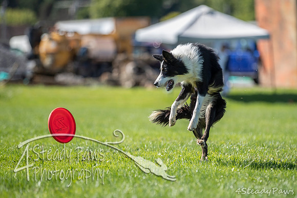 2020DiscChampionship_1426