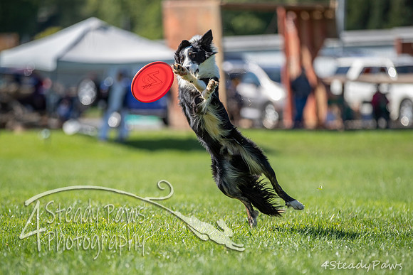 2020DiscChampionship_1430