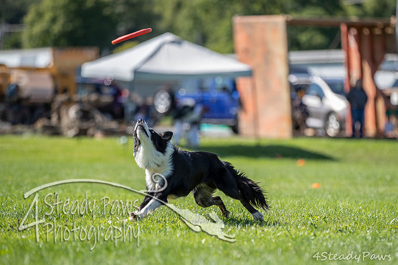 2020DiscChampionship_1422