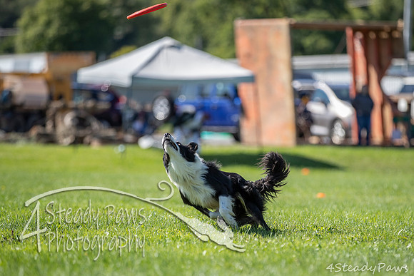 2020DiscChampionship_1415