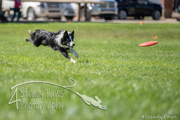 2020DiscChampionship_1406