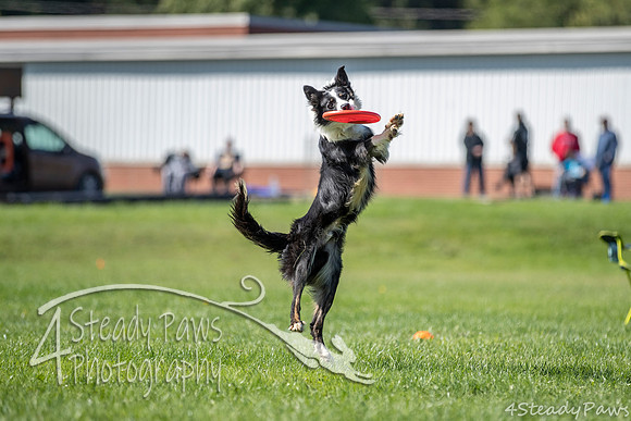 2020DiscChampionship_1392