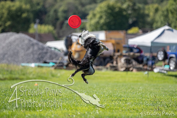 2020DiscChampionship_1372