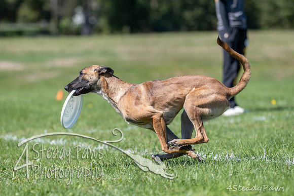 2020DiscChampionship_2570