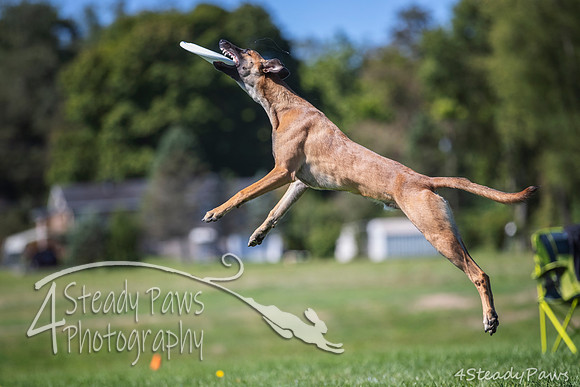 2020DiscChampionship_2550