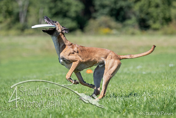 2020DiscChampionship_2572