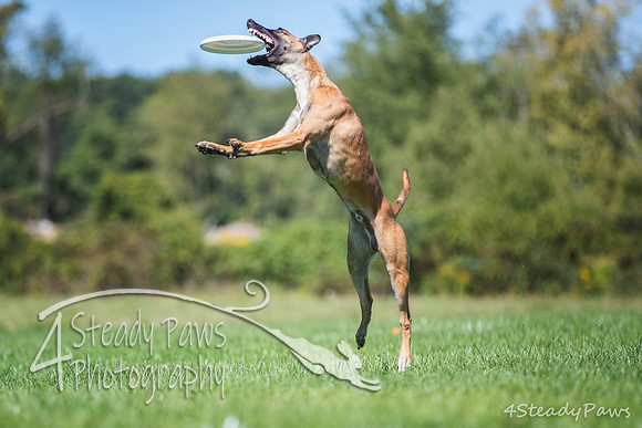 2020DiscChampionship_2541