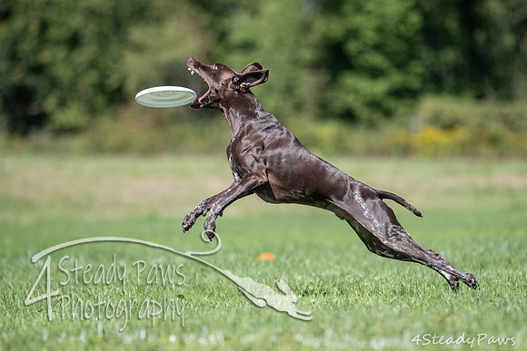 2020DiscChampionship_2356