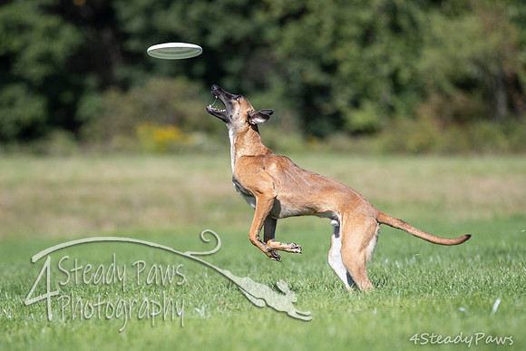 2020DiscChampionship_1681