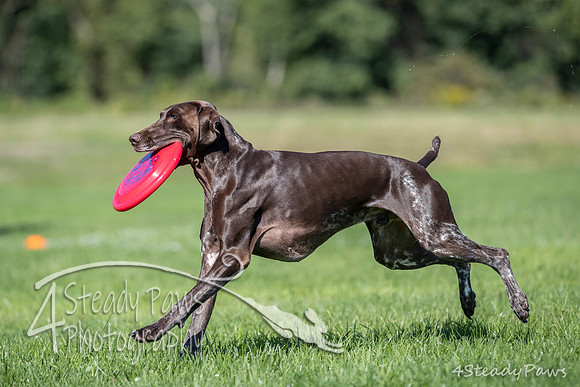 2020DiscChampionship_1524