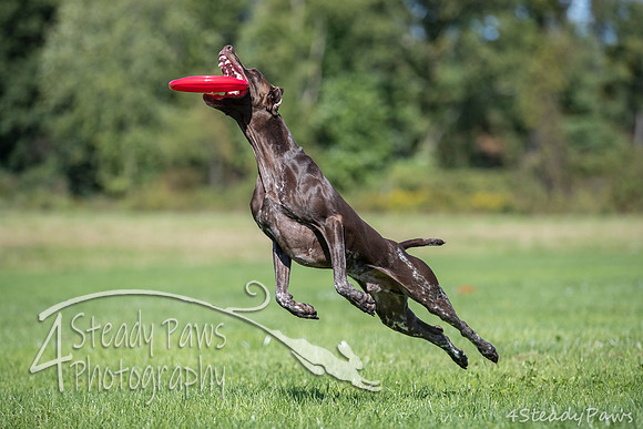 2020DiscChampionship_1525