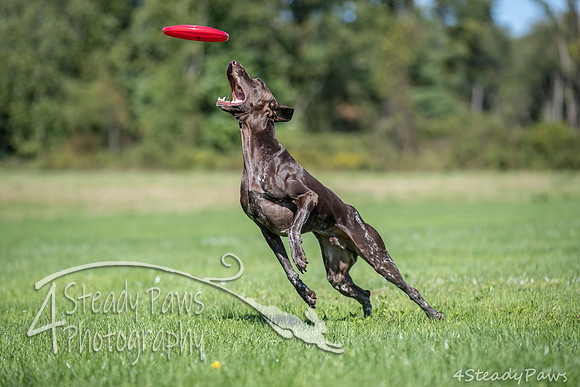 2020DiscChampionship_1527