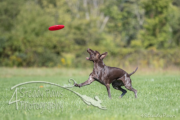 2020DiscChampionship_1511