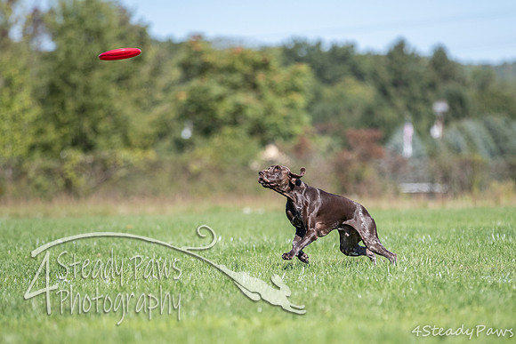 2020DiscChampionship_1494