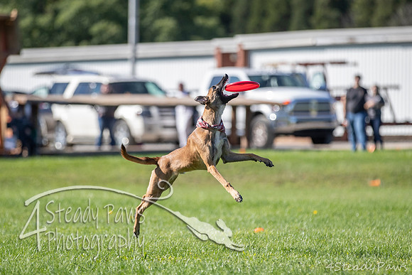 2020DiscChampionship_0730